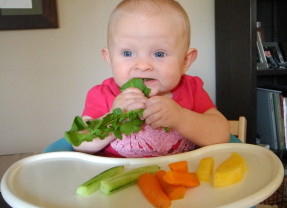 Crashcourse de Baby-led Weaning