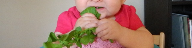 Crashcourse de Baby-led Weaning