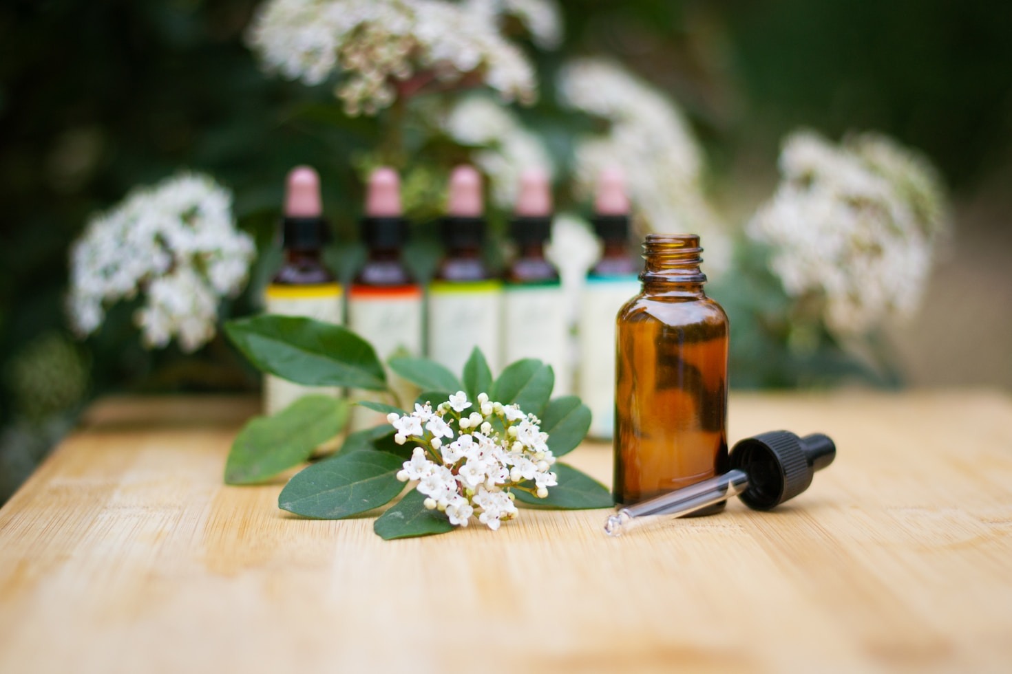 Top Ten Oils For Seasonal Transitions